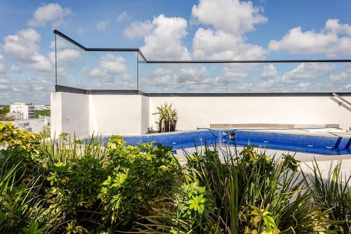 Central Playa Del Carmen Master Suite With Rooftop Pool And Gym Wifi Free Parking Near Beach 아파트