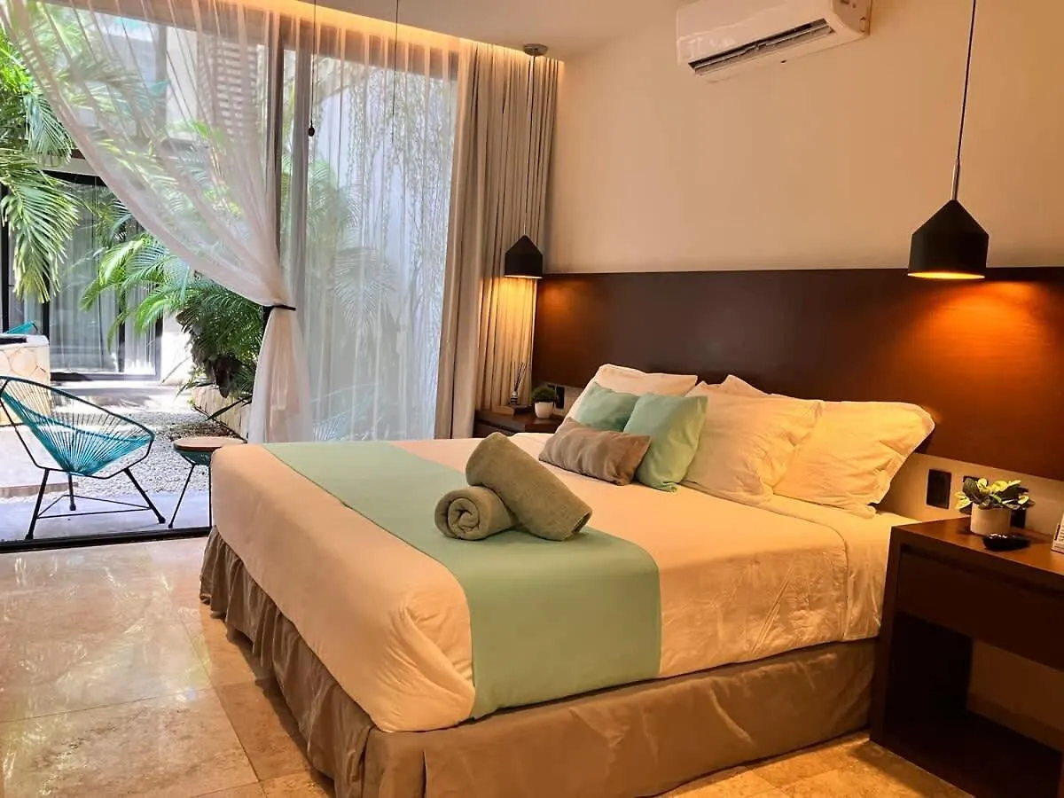 Central Playa Del Carmen Master Suite With Rooftop Pool And Gym Wifi Free Parking Near Beach Apartment
