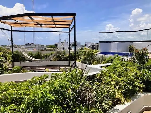 Apartment Central Playa Del Carmen Master Suite With Rooftop Pool And Gym Wifi Free Parking Near Beach Mexico