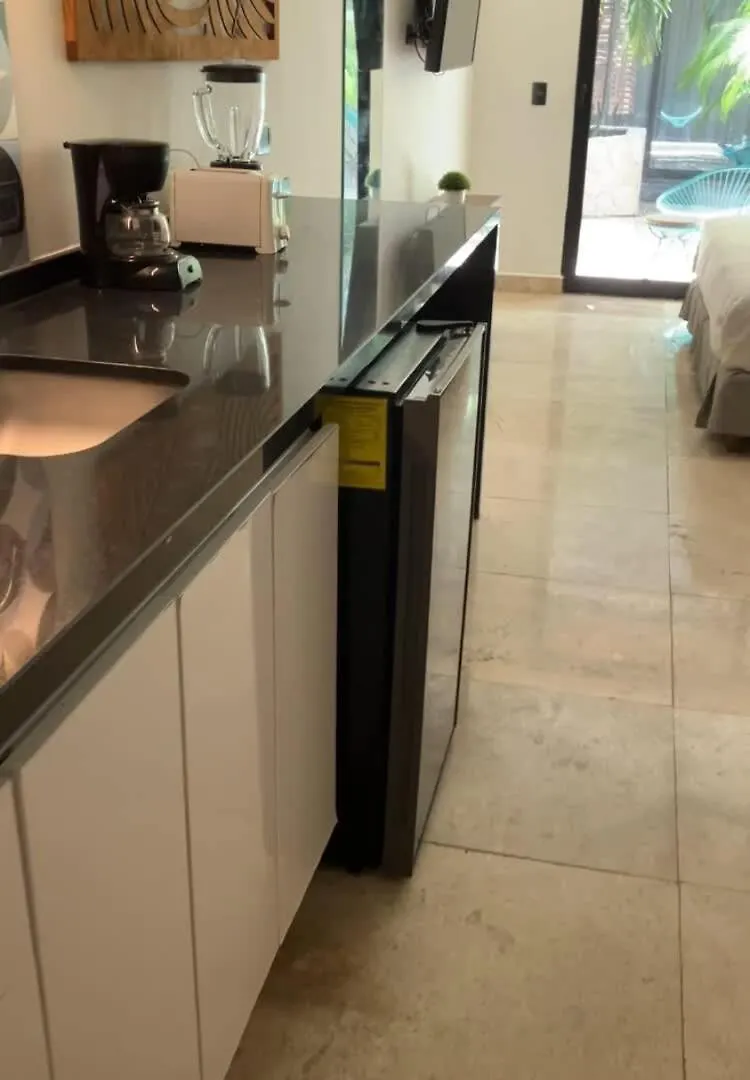 Central Playa Del Carmen Master Suite With Rooftop Pool And Gym Wifi Free Parking Near Beach Apartment