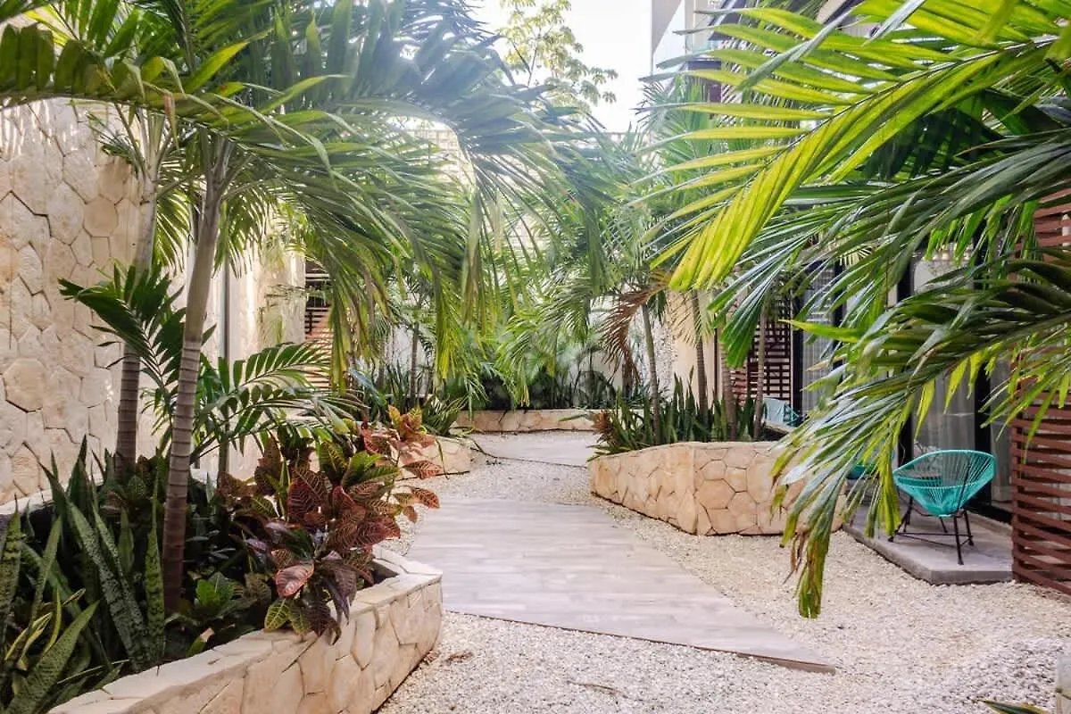 Central Playa Del Carmen Master Suite With Rooftop Pool And Gym Wifi Free Parking Near Beach 0*,  Mexico