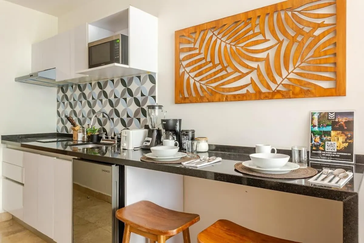 Central Playa Del Carmen Master Suite With Rooftop Pool And Gym Wifi Free Parking Near Beach 0*,  Mexico