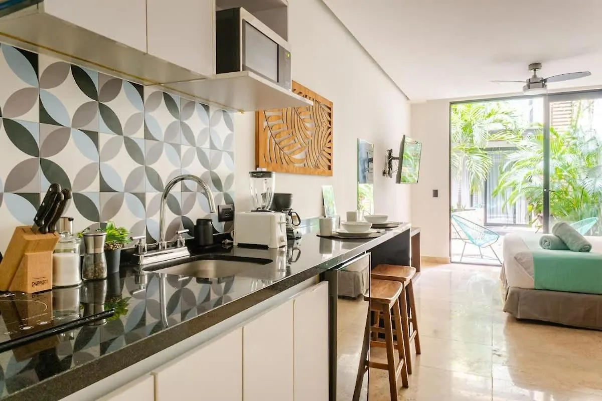Central Playa Del Carmen Master Suite With Rooftop Pool And Gym Wifi Free Parking Near Beach Apartment