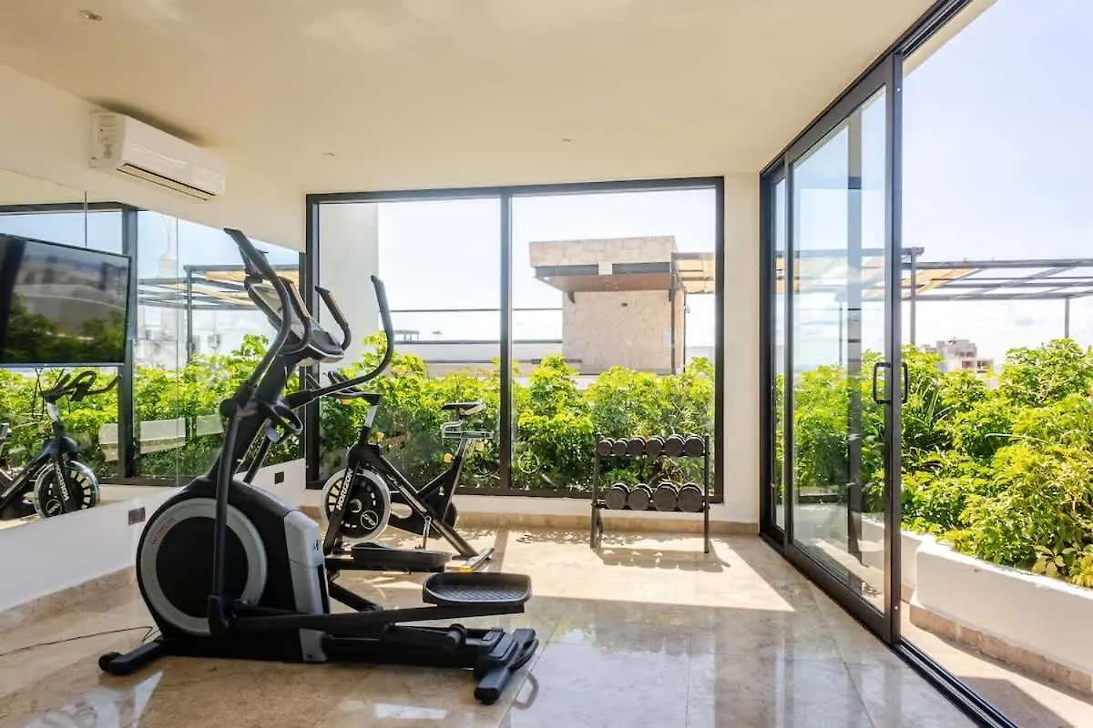 Central Playa Del Carmen Master Suite With Rooftop Pool And Gym Wifi Free Parking Near Beach Apartment